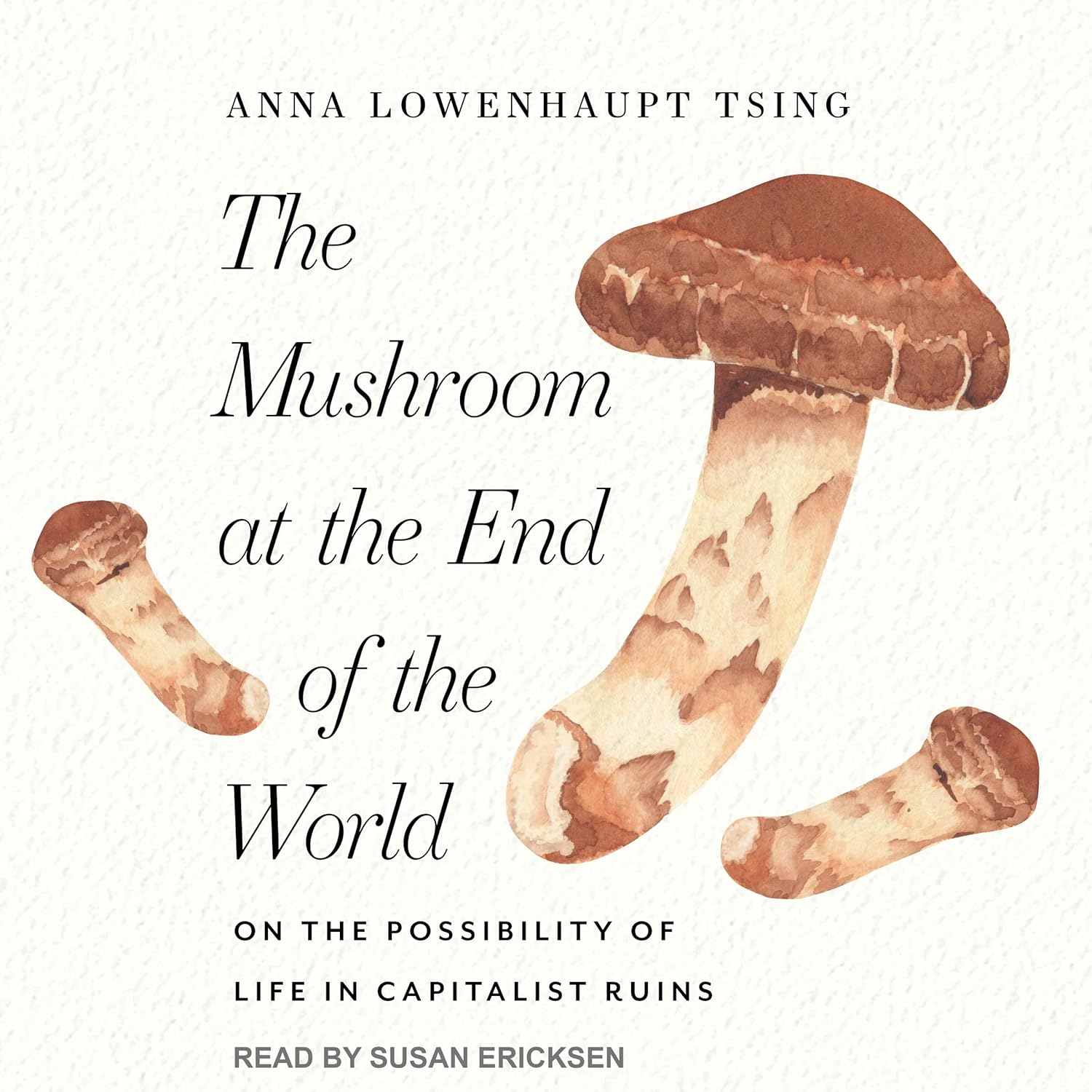 The Mushroom at the End of the World: On the Possibility of Life in Capitalist Ruins by Anna Lowenhaupt Tsing